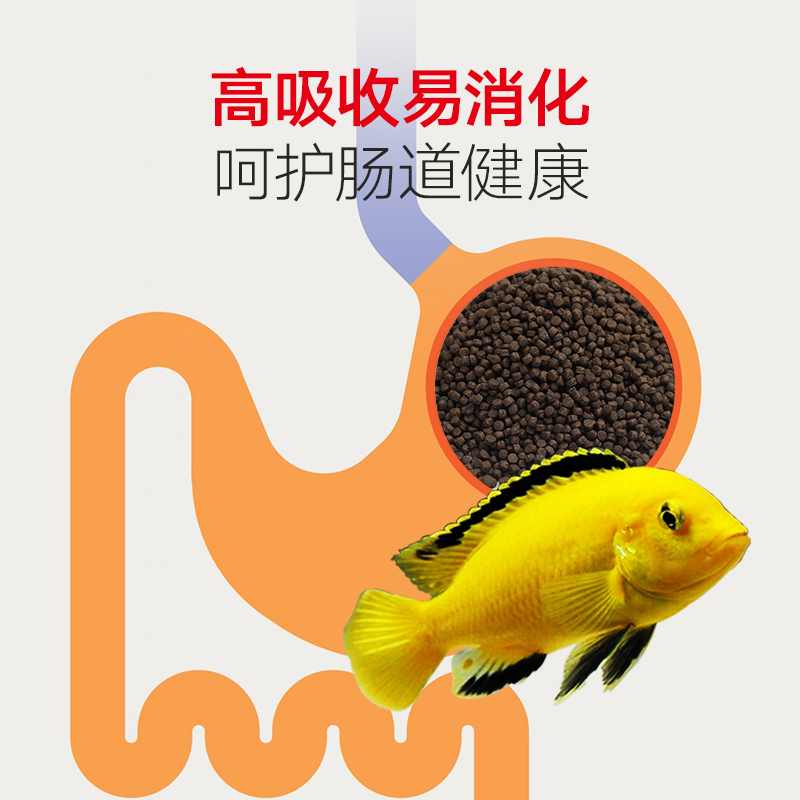 三湖慈鲷鱼专用鱼食高蛋白鱼饲料沉料小颗粒沉底下沉型鱼粮高清大图