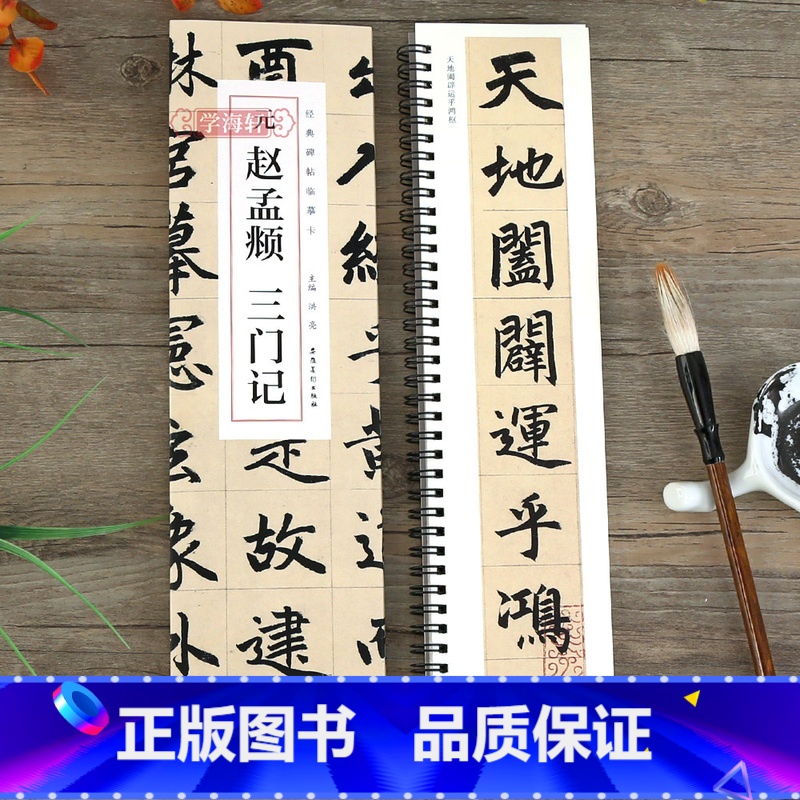 【正版】学海轩 元赵孟頫三门记 碑帖临摹卡赵孟俯楷书三门记小楷汲黯传 简体旁注毛笔书法作品字帖毛笔书法碑帖近距离临摹安