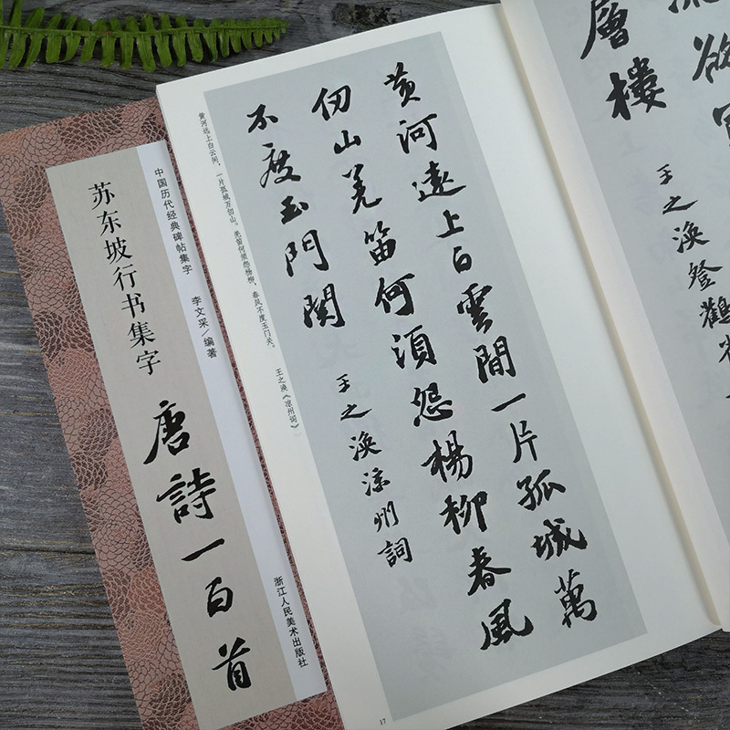 [正版]苏东坡行书集字唐诗一百首 收录苏轼行书经典碑帖集字古诗词毛笔书法作品范本集临摹教程书籍 黄州寒食帖赤壁赋洞庭春