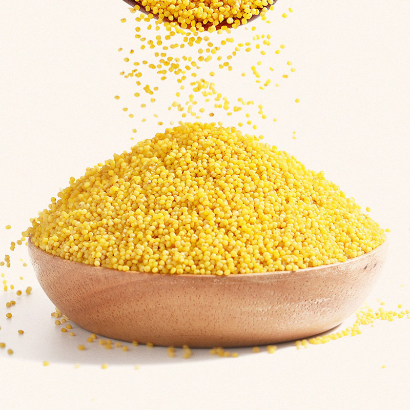 希礼盛山西沁州黄小米500g1