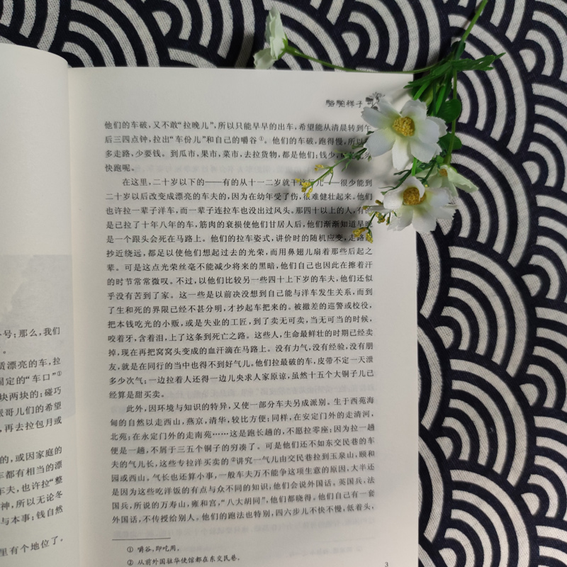 醉染图书骆驼祥子.二马9787561347782高清大图