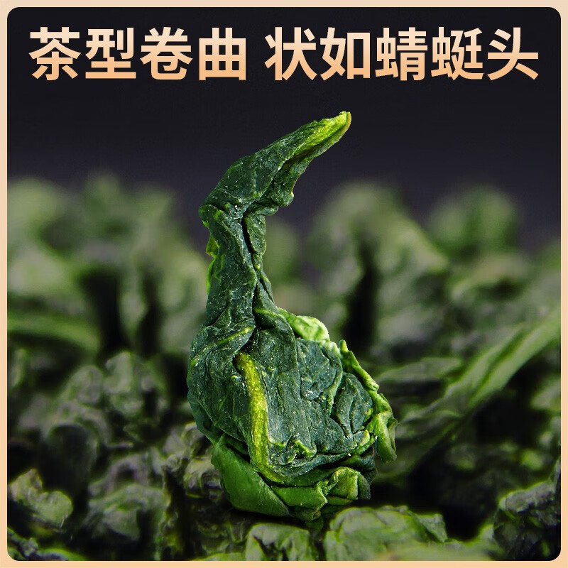 忆江南 铁观音茶叶精美礼盒节日送礼长辈乌龙茶504g(252g*2盒)高清大图
