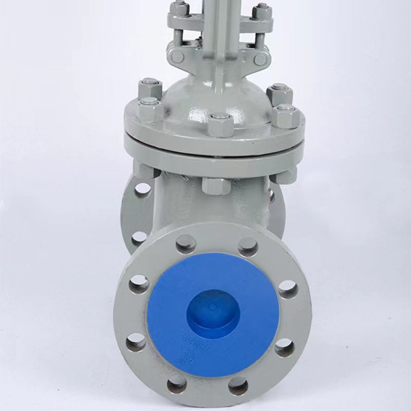 闸阀DN100高清大图