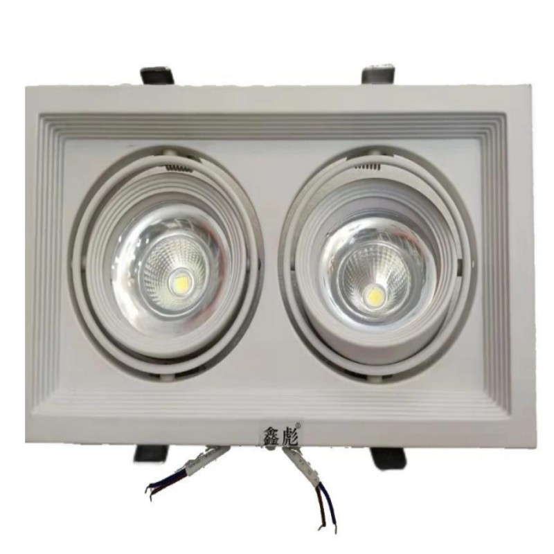 鑫彪双头射灯2*9W 支高清大图