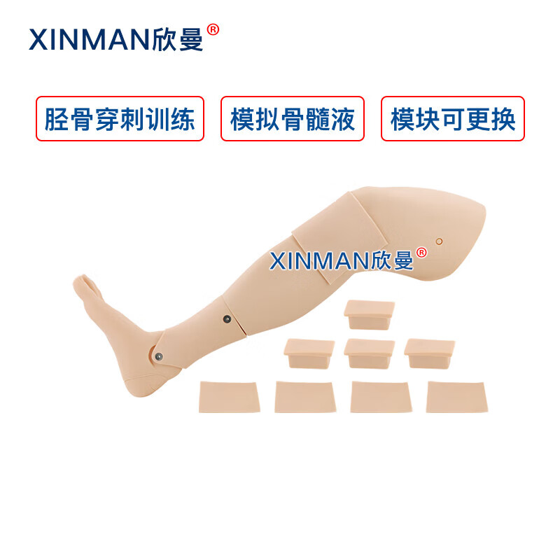 欣曼科教 胫骨穿刺训练模块 成人胫骨骨内穿刺输液训练模型XM-GC3高清大图