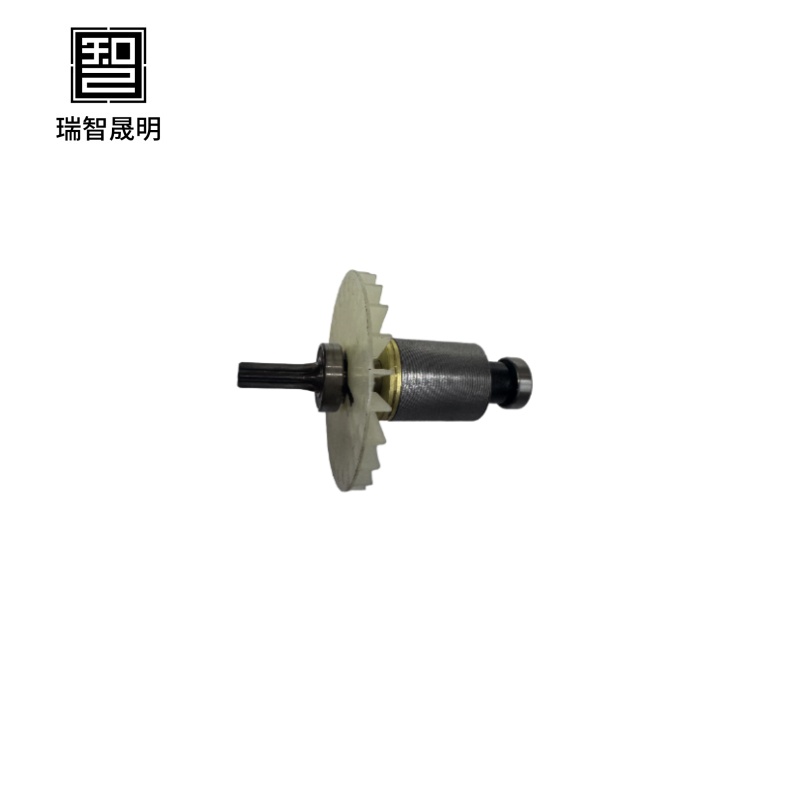 瑞智晟明（RZSM）转子总成RZSM-36DA高清大图