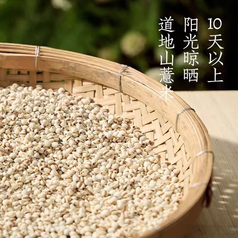 好望水五指毛桃薏米水500ml*12瓶0脂0能量0添加糖植物饮料