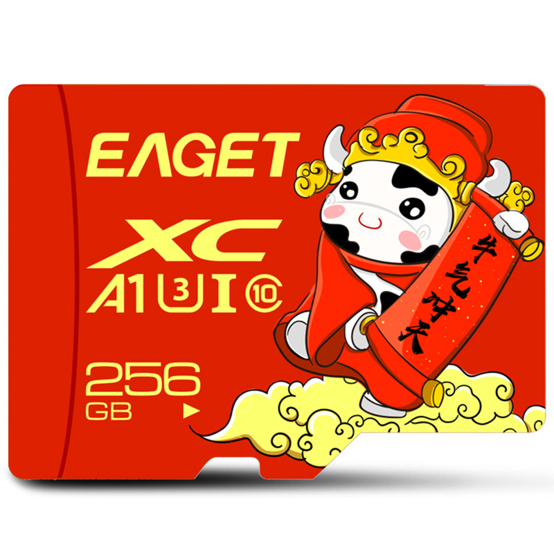 忆捷(Eaget) 手机存储卡监控摄像内存卡TF卡高速行车记录仪SD卡c10高速卡 256GB高清大图