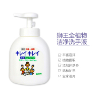 [植物萃取]狮王(LION) 日本直采 KIREI 泡沫洁净药用洗手液 油污清洁剂 250ml