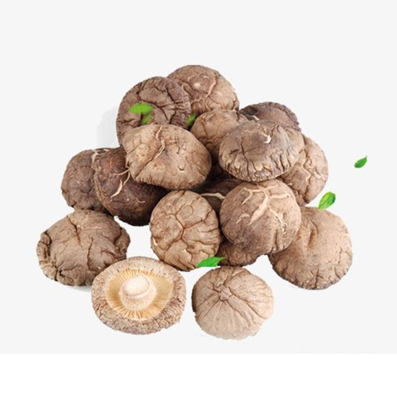雪都 椴木香菇干货80g 福建古田特产小粒香菇干货
