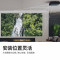 爱普生(EPSON)CH-LS12000B 投影仪 激光专业家用投影机 4K超高清 2700流明 电动镜头 镜头位移