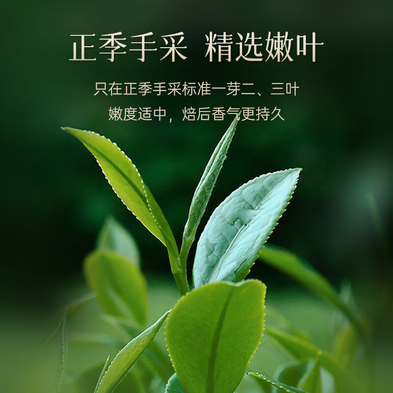 华祥苑 EMPEREUR-250g星时光肉桂高清大图