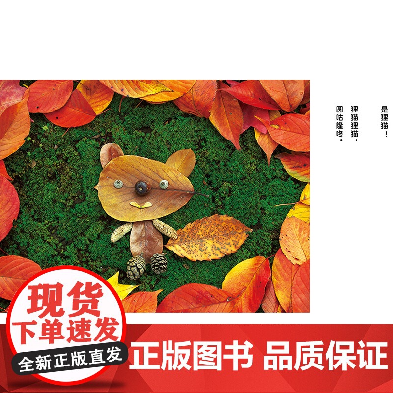 秋天主题系列落叶捉迷藏精装绘本2岁以上落叶搭建的各种造型的小动物锻炼小朋友们的想象力动手能力和立体思维蒲蒲兰正版童书高清大图