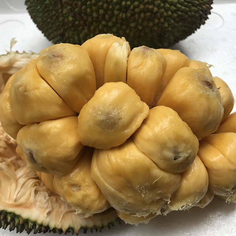 [西沛生鲜]海南榴莲蜜 3-4斤 应季热带新鲜水果手撕软糯香甜湿苞高清大图