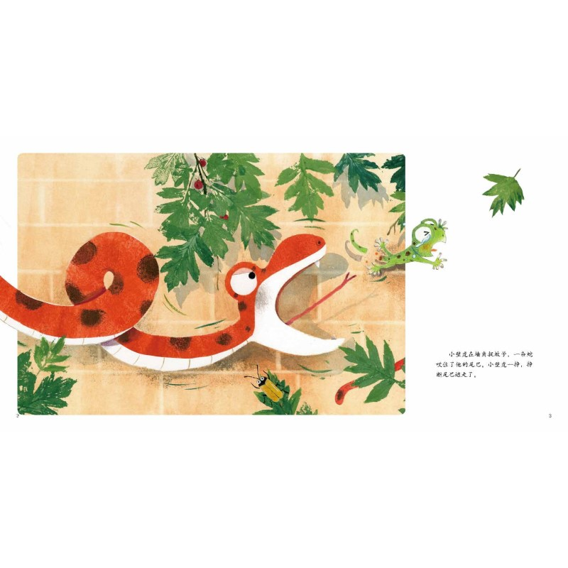 全新正版小壁虎借尾巴(精)9787519126117教育科学出版社