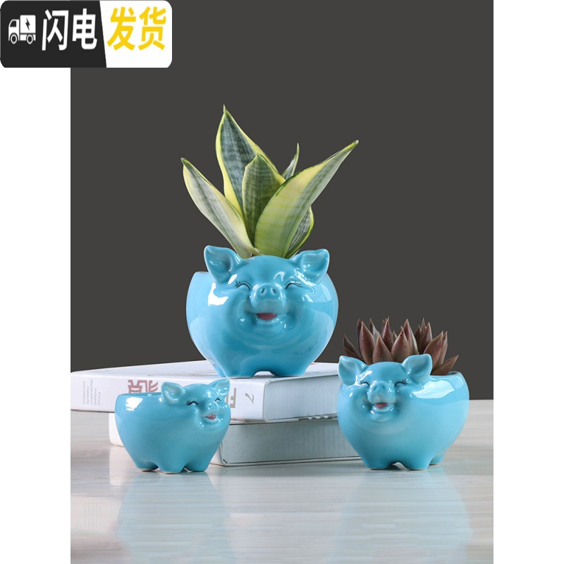 三维工匠简约卡通多肉花盆陶瓷创意个性可爱小猪客厅植物白色花盆绿萝花器 有孔土养手绘蓝色小猪花盆 中等花盆容器
