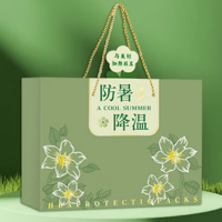 企业定制防暑降温物资套餐E
