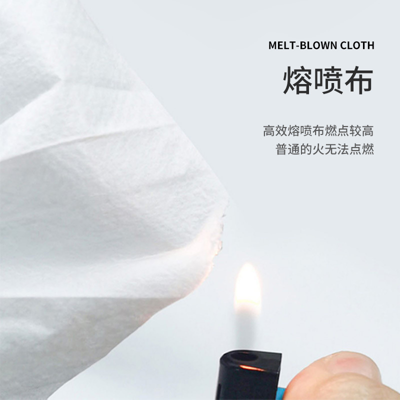 蓝帆 一次性防护口罩含熔喷布防水透气单只独立装10只/袋 1袋装