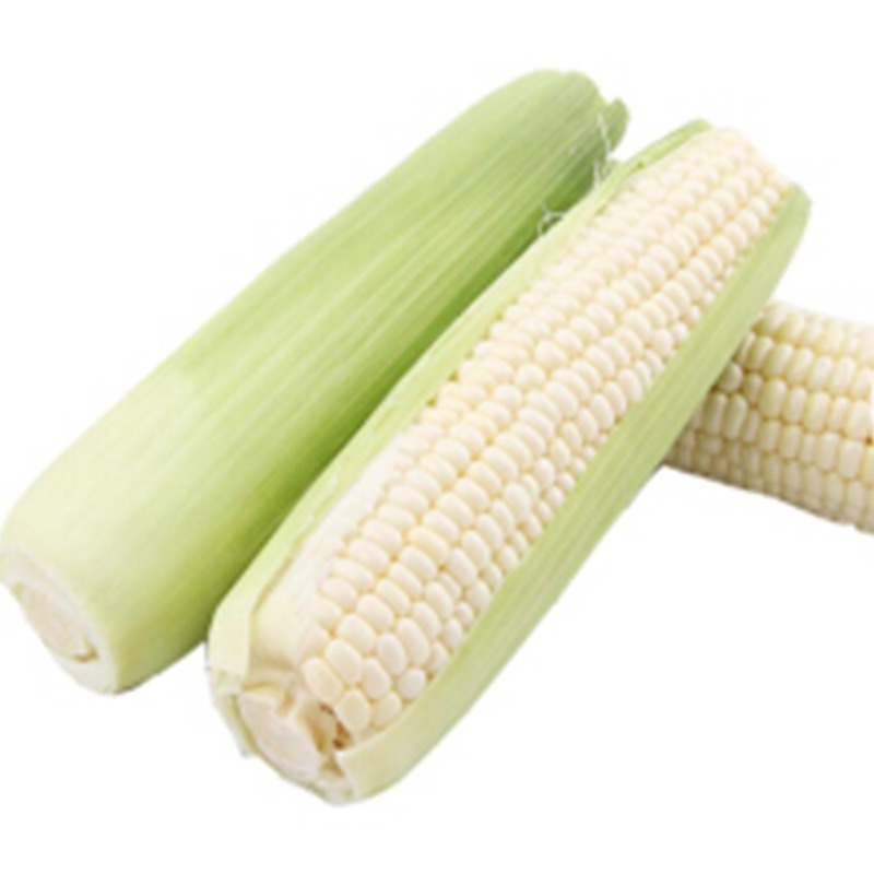 雅阁天娇soundstar白甜糯玉米棒10根新鲜有机真空包装