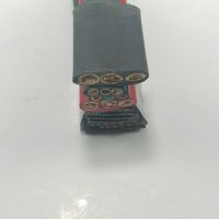 金电石 耐寒扁电缆 YFFB 12*2.5 米