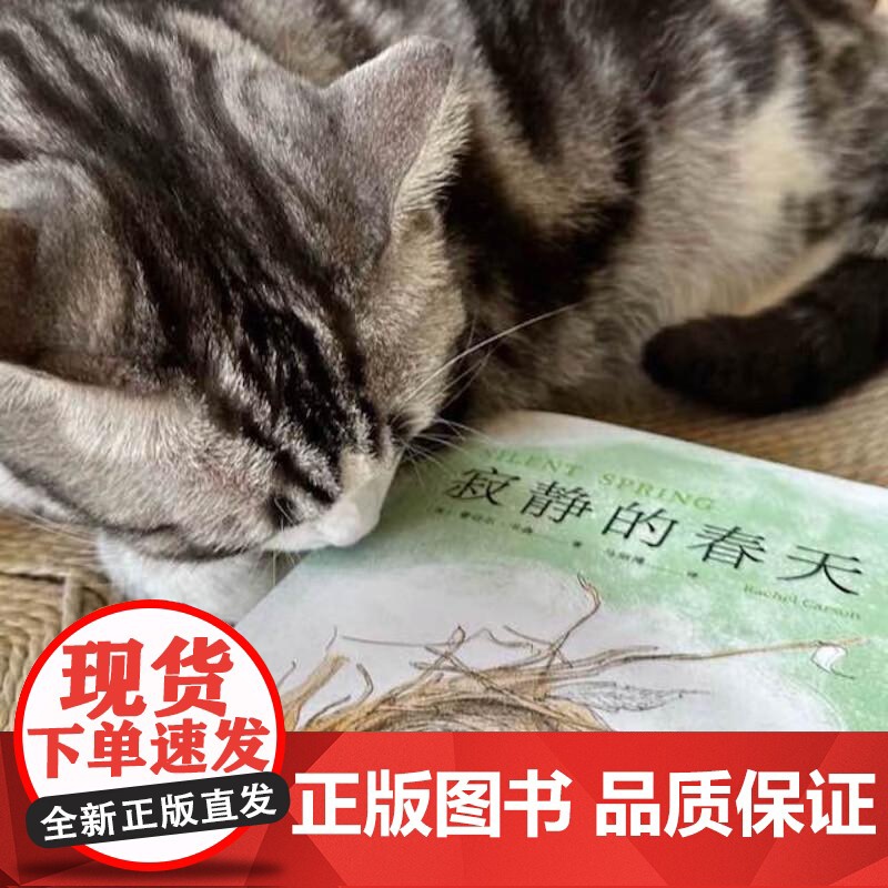 寂静的春天 蕾切尔·卡森 中文分级阅读 九年级 全译本 科普 文学 环境保护 科普 DDT 杀虫剂 果麦文化高清大图