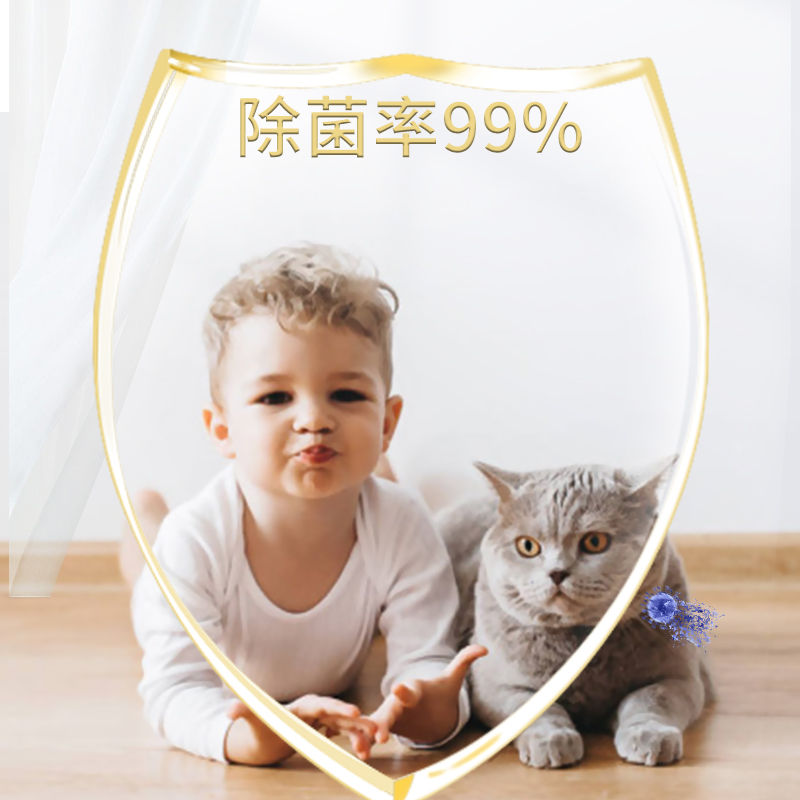 美穗吉家 速干除菌地板清洁剂500g-80818高清大图