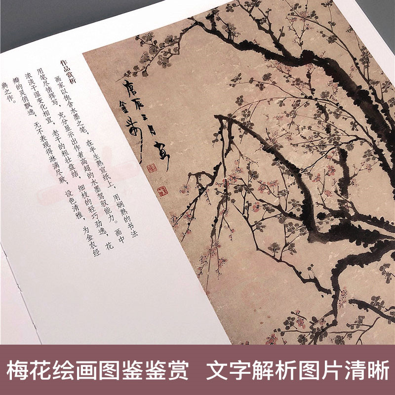 [醉染正版]中国历代绘画百图 梅花 苏百钧主编名家名画梅花作品集宋明清代水墨梅花临摹范本古代绘画大师画册梅花画集河南美术高清大图