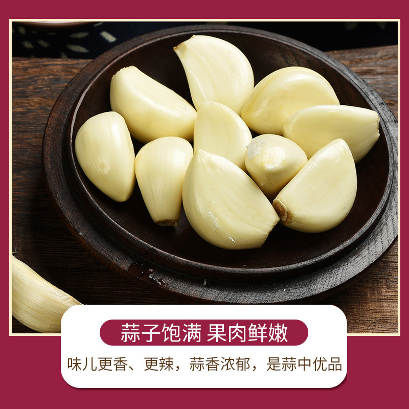 [江苏乡村振兴][财政集采][沭阳]虞美人 沭阳大蒜 25kg