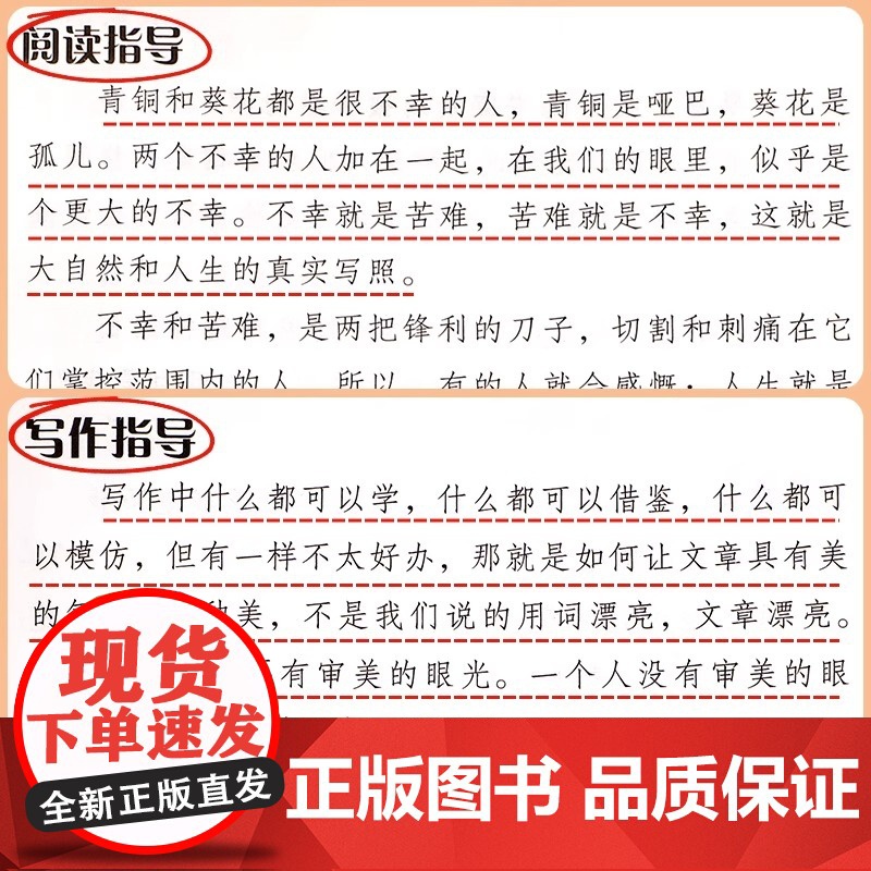 青铜葵花曹正版草房子四年级阅读课外书儿童文学获奖作品原著完整版五六年级课外阅读书籍老师小学生必读经典儿童文学书目高清大图