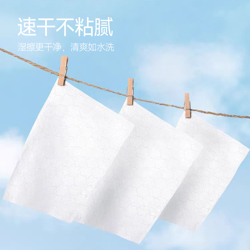 碧丝汀湿厕巾-80抽高清大图