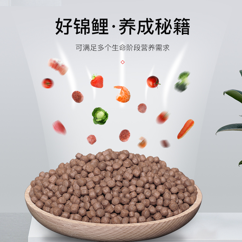 锦鲤鱼饲料专业锦鲤饲料鱼食色扬育成胚芽主食观赏鱼鱼粮螺旋藻高清大图