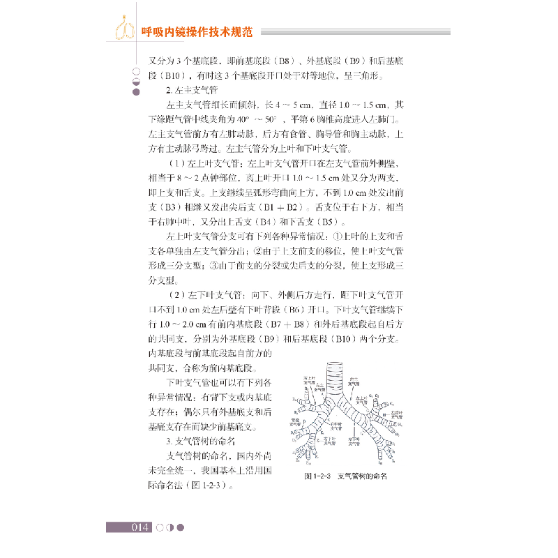 醉染图书呼吸内镜操作技术规范9787518962136高清大图