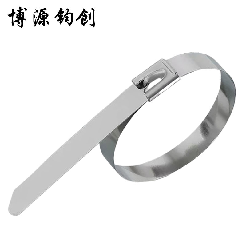 博源钧创 304不锈钢扎带 7.9*100MM 根高清大图