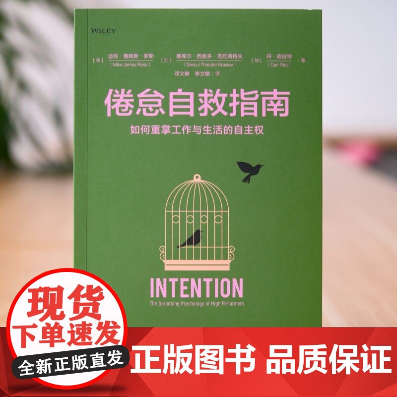正版 倦怠自救指南:如何重掌工作与生活的自主权 迈克·詹姆斯·罗斯 工作状态 管理 情绪管理 职场 职场情绪管理 管高清大图