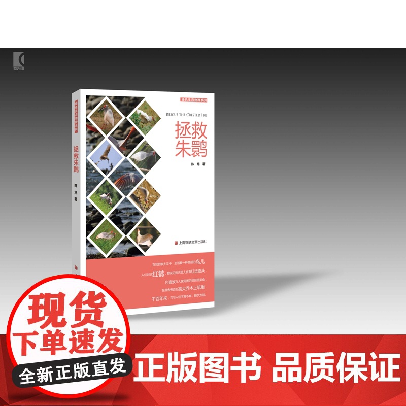 拯救朱鹮 陈旭 云横秦岭撰稿人 中日两国环保人员和科学家以及民众相救与保护“东方宝石”“神鸟” 锦绣文章 世纪出版高清大图