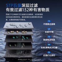 西屋(Westinghouse)家用RO反渗透净水器即热净饮水机矿化台式免安装直饮机桌面饮水机 WFH-C5曼哈顿版灰色