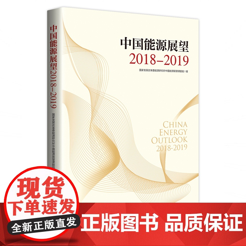 中国能源展望2018—2019