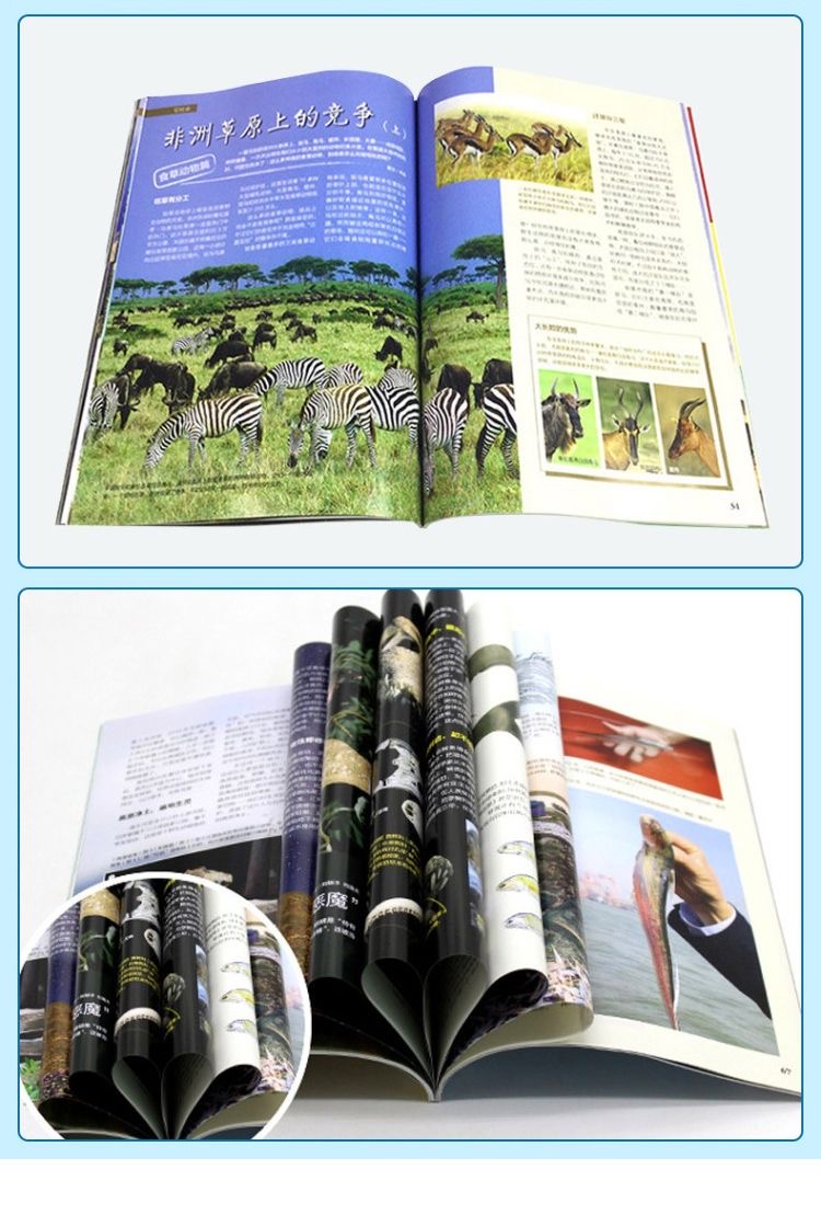 C[跨年订阅送6个笔记本]2023年11月-2024年10月 [正版]博物杂志2023年1-10/11/12月/2024高清大图