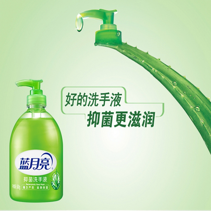 蓝月亮洗手液杀菌消毒液300ml家用免洗泡沫型抑菌滋润补充装500g