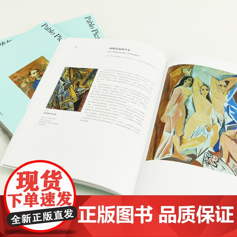毕加索 彩色艺术经典图书馆 07 罗兰·彭罗斯 著 艺术高清大图