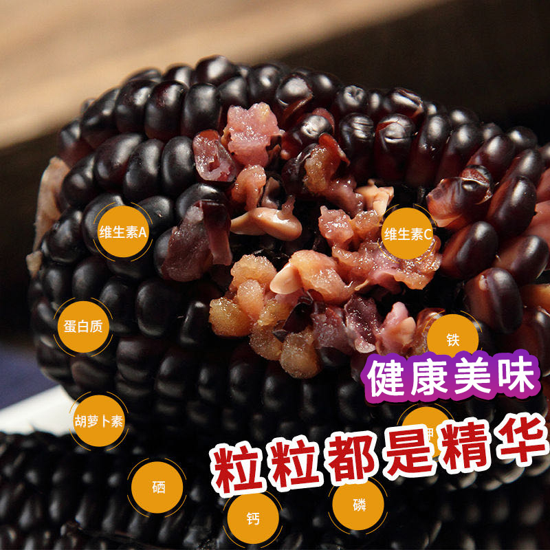 谷本粮农 黑糯玉米6根1.2kg 非转基因鲜食粘糯黑玉米棒 新鲜蔬菜