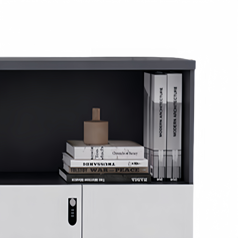 演发 资料储物柜高清大图