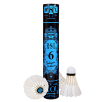 亚狮龙（RSL）羽毛球鸭毛球 比赛训练用球 耐打稳定 6号球 一桶(12只装)默认77