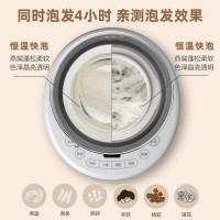 小熊(Bear)0.6升 电炖锅电炖盅 DDZ-C06A1 Z