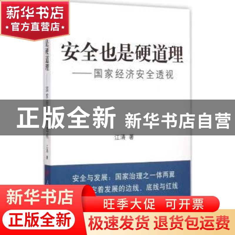 正版 安全也是硬道理:国家经济安全透视 江涌 著 人民出版社 978高清大图