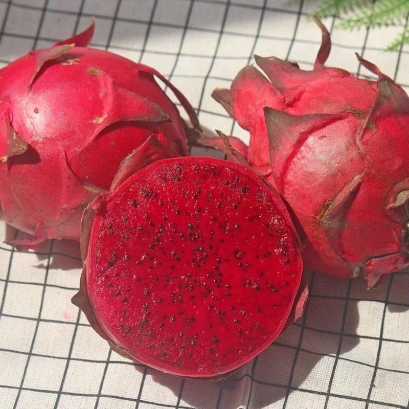 赛卡伊海南红心火龙果超甜金都1号现摘水果58斤箱精品大果产地直发