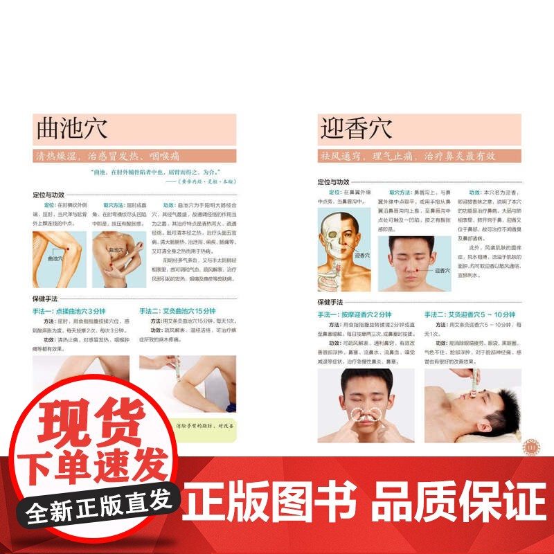 生活-《黄帝内经》养好肺 正气足 寿命长(有声版)杨秀岩养肺润肺黄帝内经经络养肺中医23种养肺食物20大护肺穴位中医高清大图