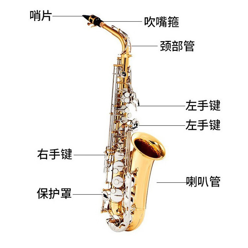 雅马哈(YAMAHA)萨克斯YAS-S1降E中音萨克斯风儿童成人初学者考级专业演奏高清大图