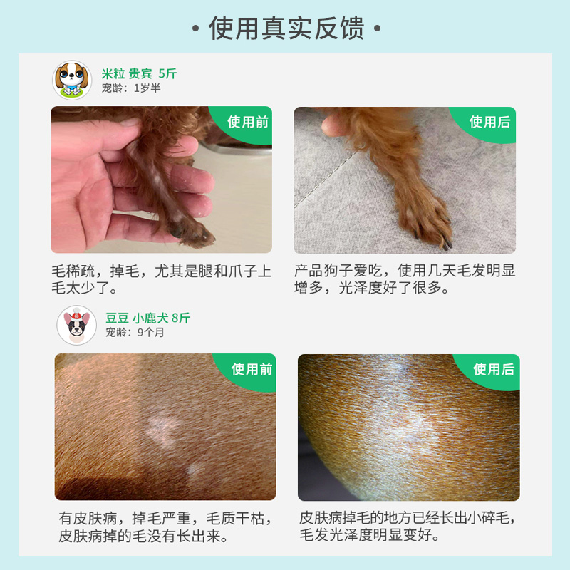 积雪美毛丸宠物比熊卵磷脂狗狗爆毛粉边牧亮毛美毛软磷脂高清大图