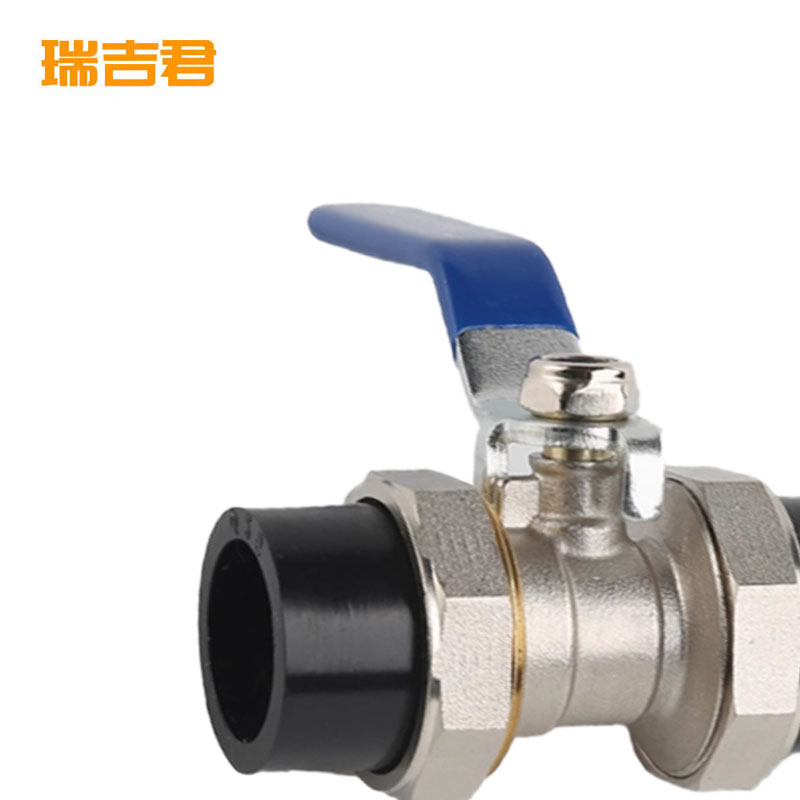 瑞吉君 PE双活接球阀 20mm 个高清大图